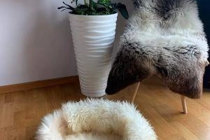Legowiska dla kotów z naturalnej skóry owczej, Premium